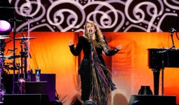 史蒂夫·尼克斯因乐队生病取消伯明翰演唱会