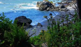 在加州首次宣布美国土著海洋管理区