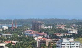 由于政府采购增加，粮食价格下跌，雨季好了，播种面积激增