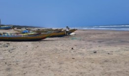 解说员：关于气候变化和蓝碳，你需要知道什么