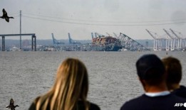 导航员如何引导船只进入港口，在航运业中发挥关键作用