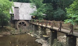 东山再起之城：布鲁克的父母们，不要放弃孩子们在伯明翰的未来