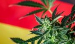 欧盟检察官办公室对斯洛伐克大幅削减腐败罪犯刑期表示担忧