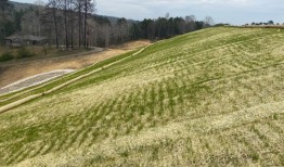 美国环保署表示，穆迪垃圾填埋场火灾的清理工作已进入“最后阶段”