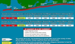最新的海滩情况：巴拿马城海滩的双红旗;水母警告贴在目的地