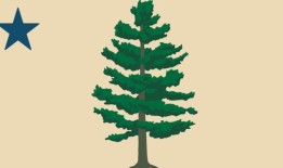 缅因州将就新州旗进行投票