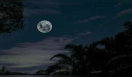 什么是满月？了解2024年7月它对每个星座的影响