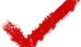 快查：波兰的自行车道在黑暗中会发光，这是真的吗？