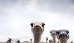 拥有工作养老金并不能保证退休后生活舒适，以下是如何保持投资优势的方法