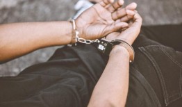 今年夏天逮捕了几名年轻的罪犯