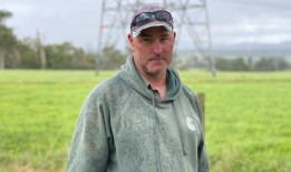 环境方面的障碍，对电力线的反对威胁着维多利亚州的可再生能源目标