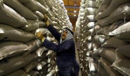 约旦投标购买多达12万吨小麦