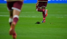 “骗子的瘟疫”：是什么导致了美洲杯的惨败？