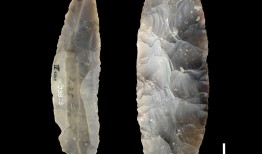 四万五千年后发掘出欧洲最早的智人