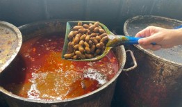 煮花生的历史以及为什么阿拉巴马州有一个专门的花生标记