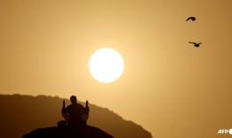 至少550名朝圣者在朝觐期间死亡，其中大多数是埃及人：外交官