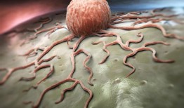 研究人员解开了潜伏的弥散性乳腺肿瘤细胞背后长期存在的谜团