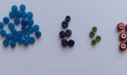 对阿根廷巴塔哥尼亚地区发现的遗骸的研究表明，当地人饲养并食用马