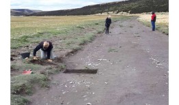 对阿根廷巴塔哥尼亚地区发现的遗骸的研究表明，当地人饲养并食用马