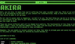 被Akira勒索软件攻击的公司建议不要付款