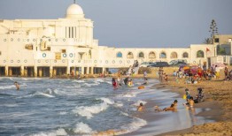 突尼斯热浪影响葡萄酒产量